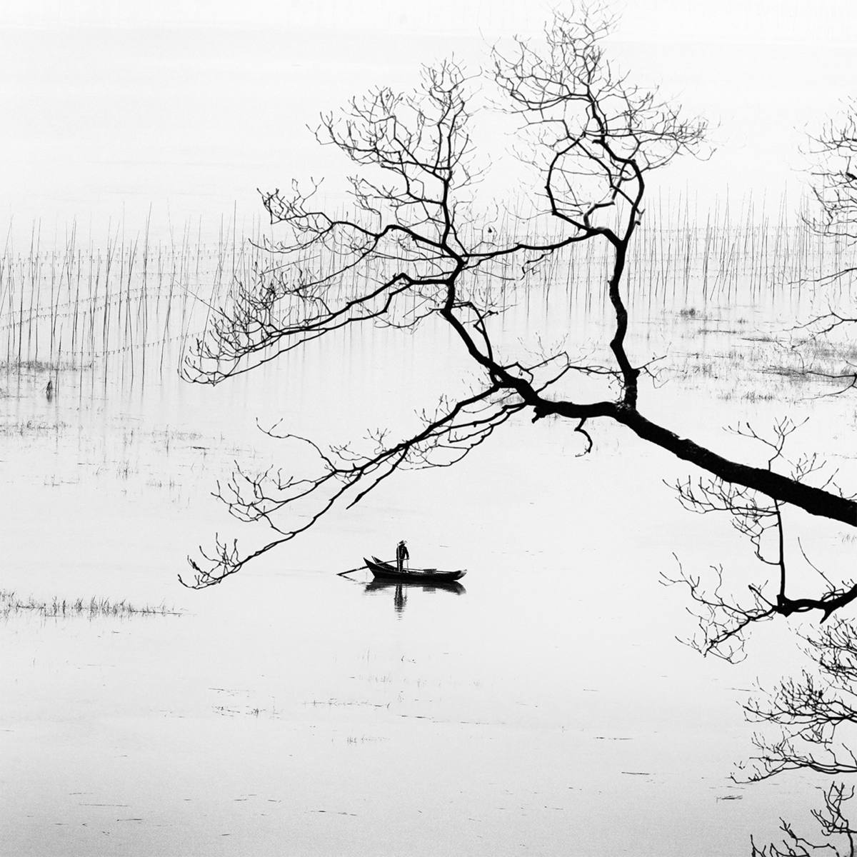 Exposição de fotografia “Symbiosis”