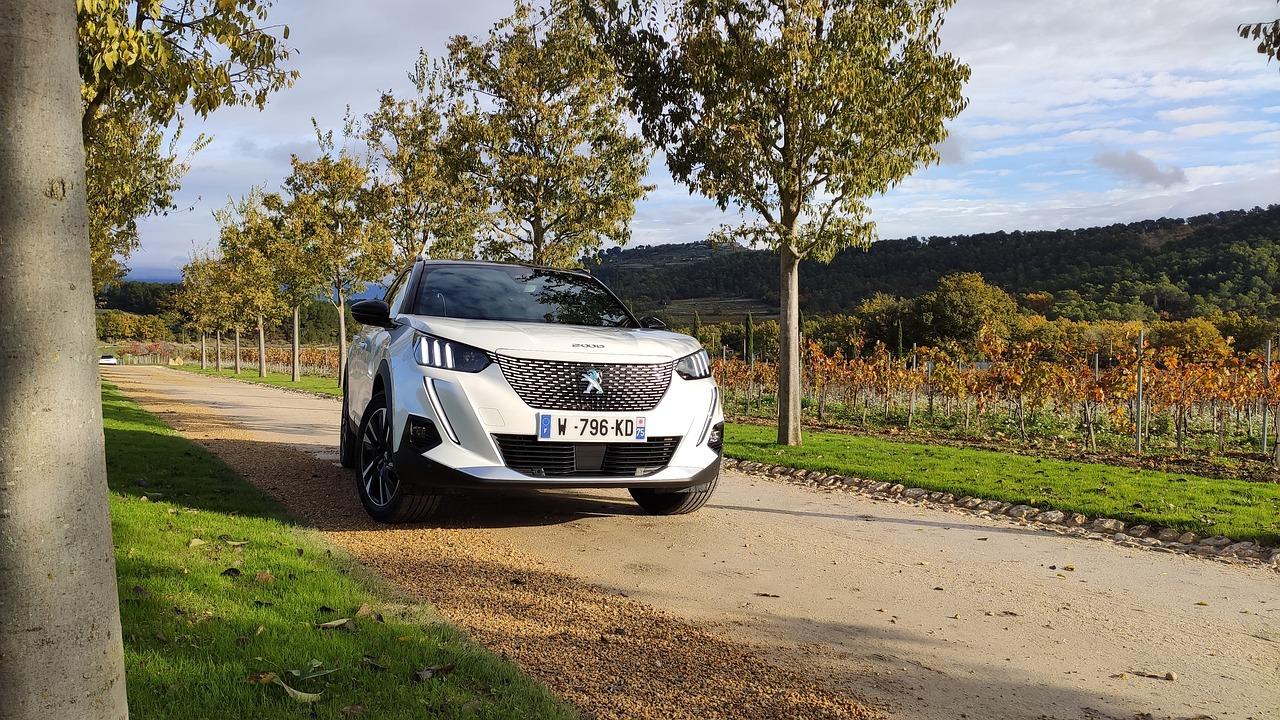 Estes foram os 6 carros mais populares de 2023